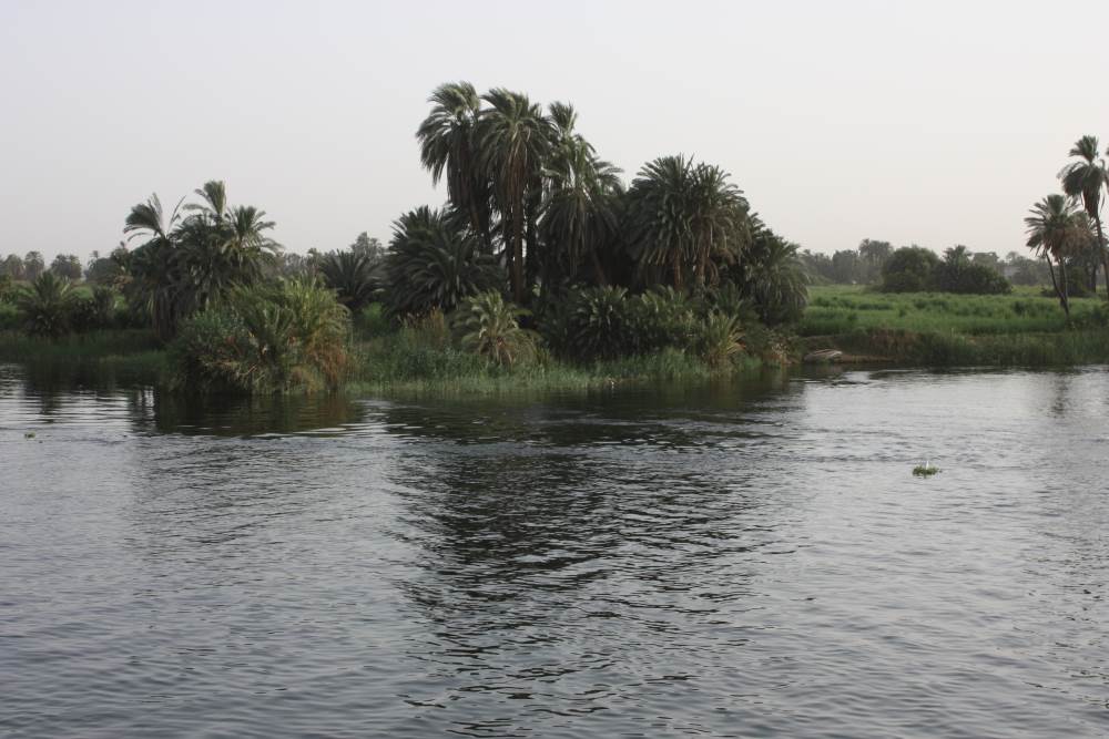 The Nile