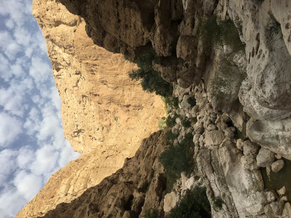 Wadi Shab 3