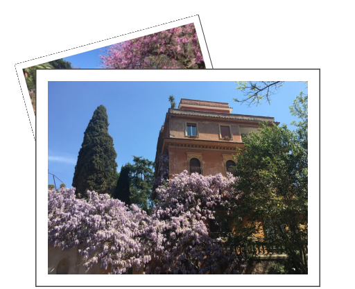 Spring in Rome