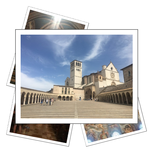 Basilica of Saint Francis of Assisi