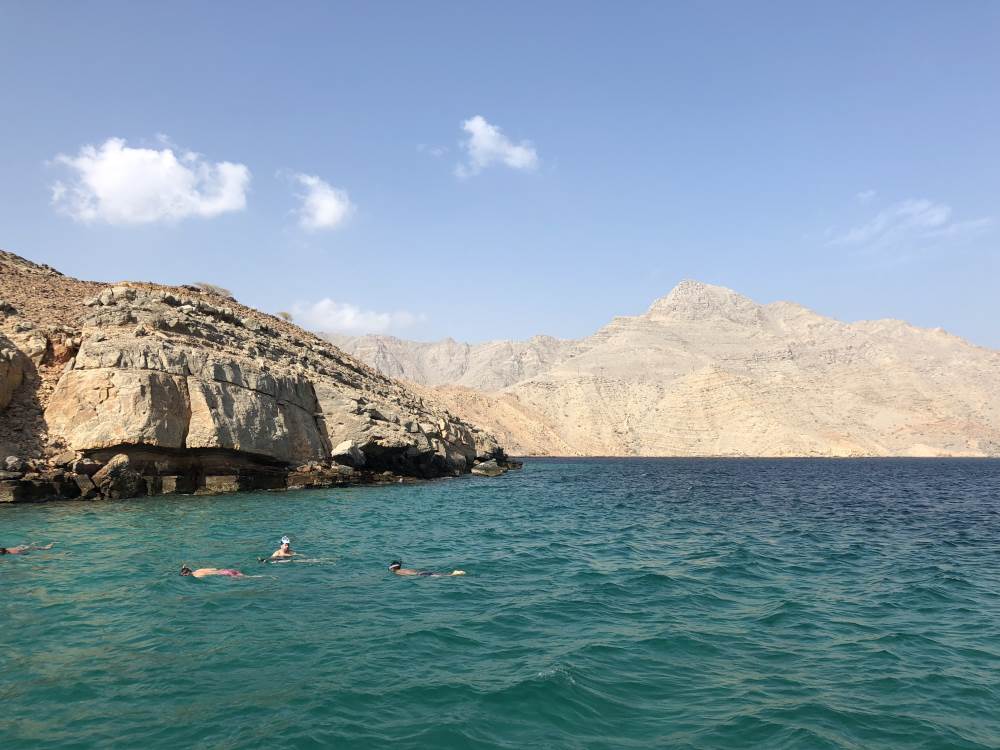 Swimming among the fjords