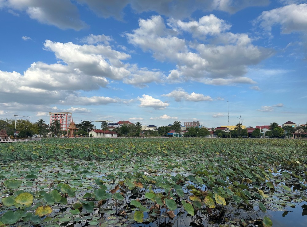 Kampot Lotus Pond