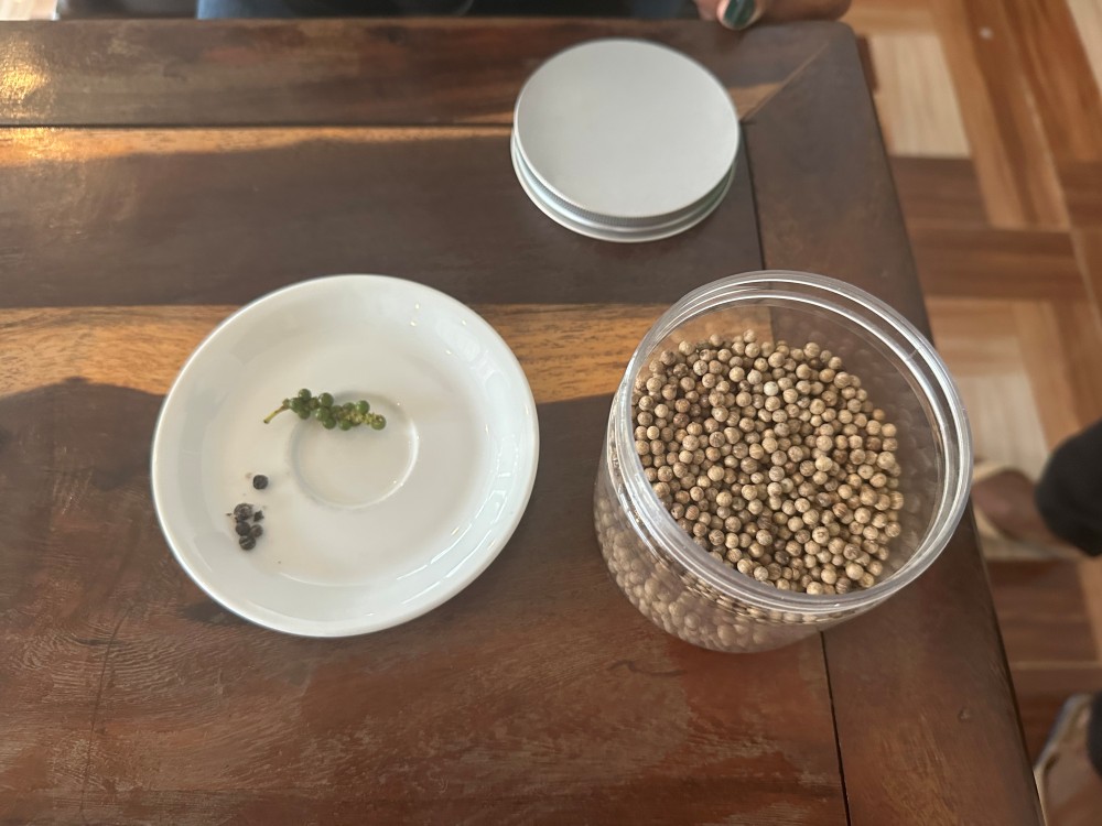 Pepper tasting