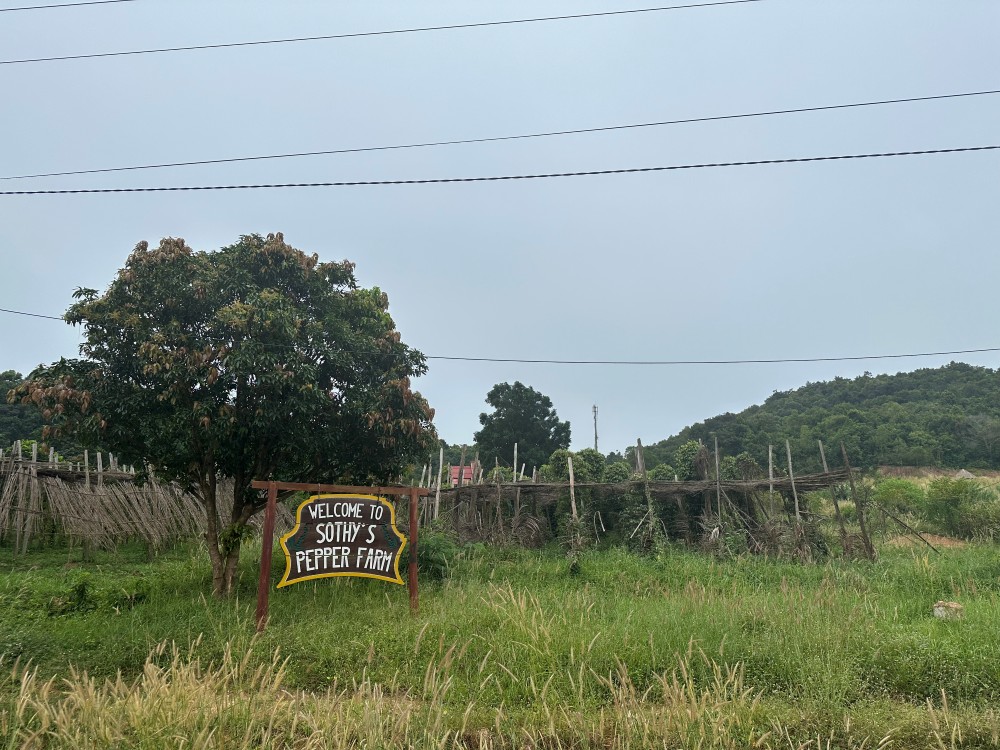 Welcome to Sothy's Pepper Farm