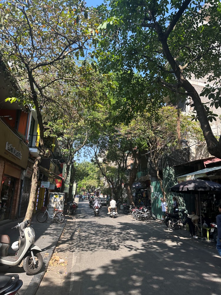 Street view 2