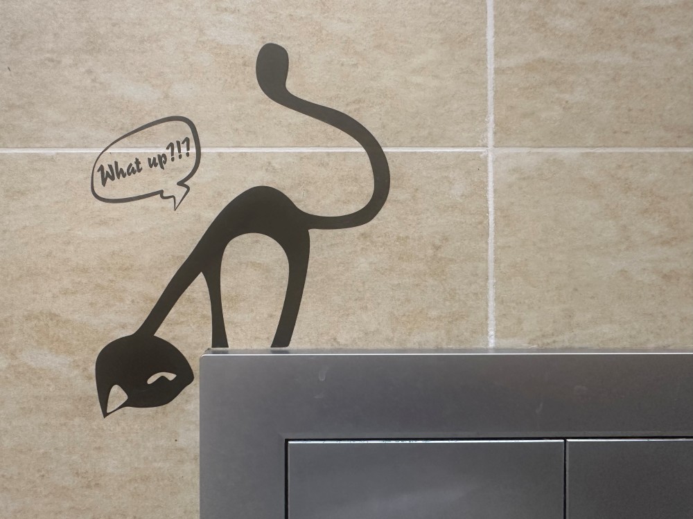Toilet humour