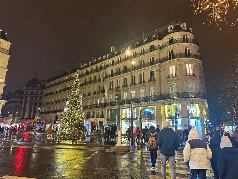 Christmas Tree on the Street