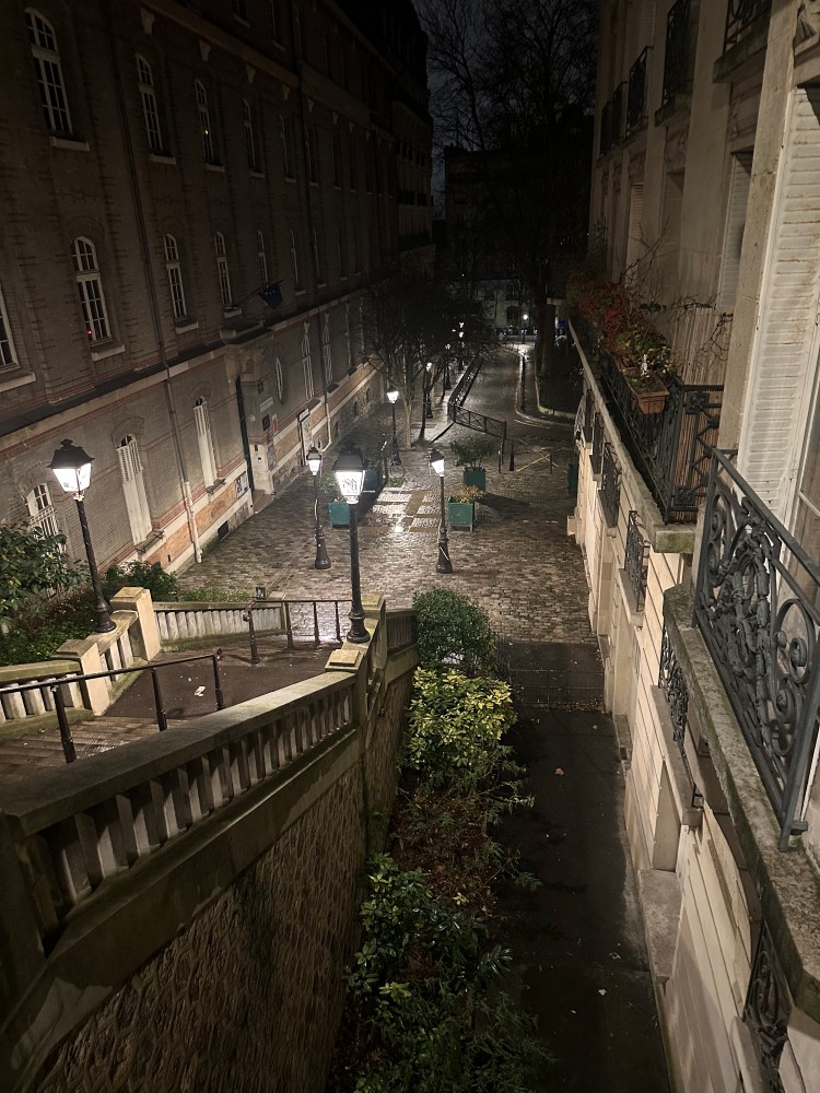 Montmartre Stairs 2
