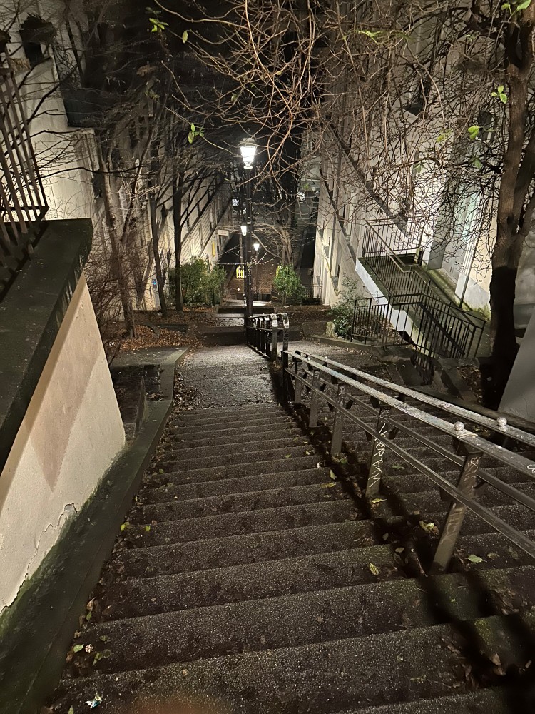 Montmartre Stairs 3