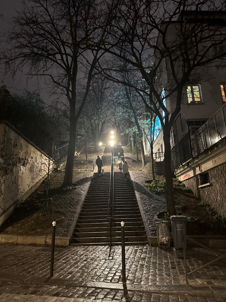 Stairs of Montmartre 2