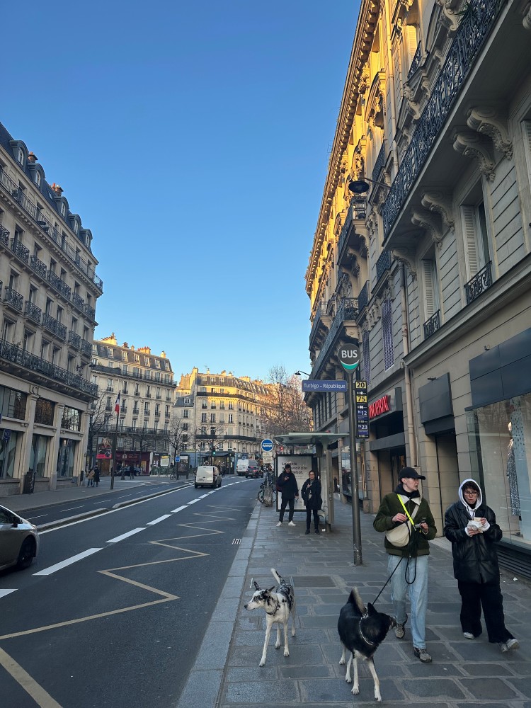 Street view Marais 2