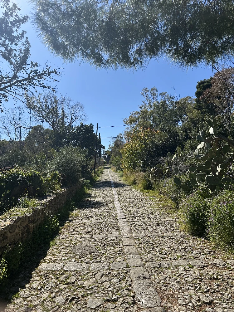 l'Acchianata 4