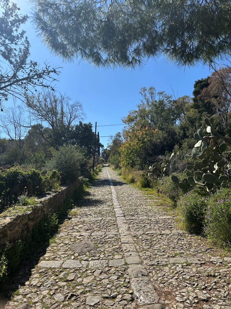 l'Acchianata 4