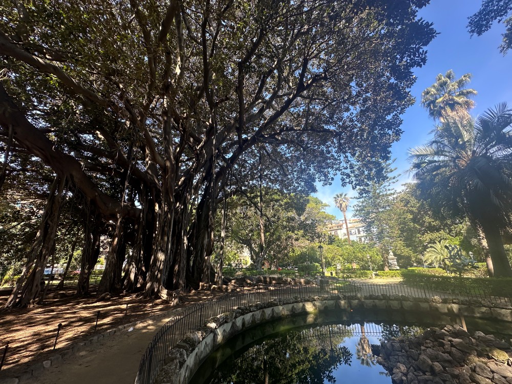Palermo Botanical Garden