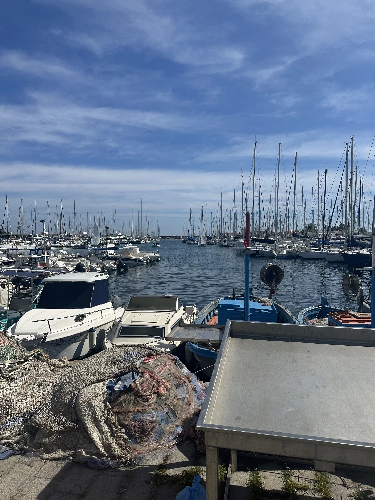 Port of Palermo