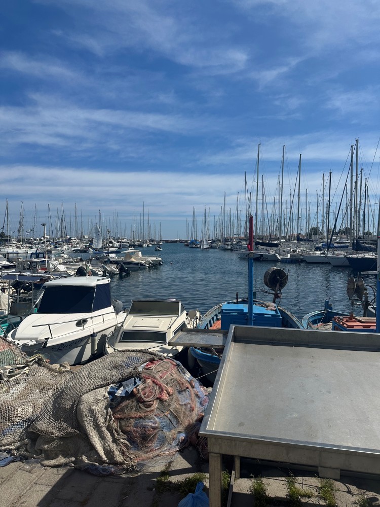 Port of Palermo
