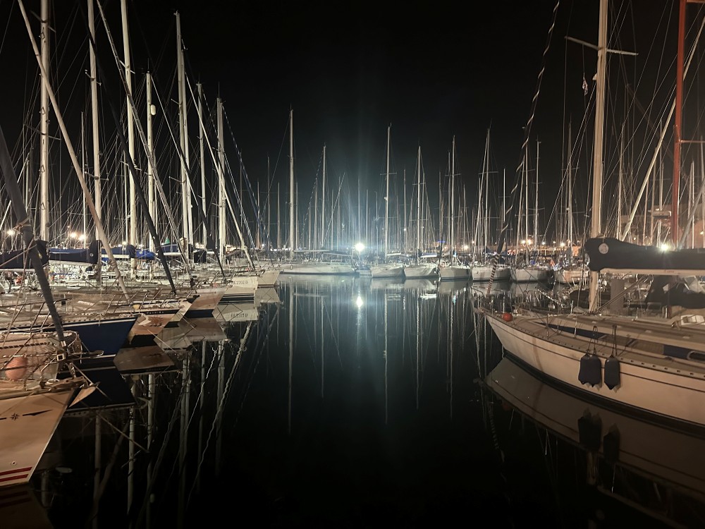 Port of Palermo by night