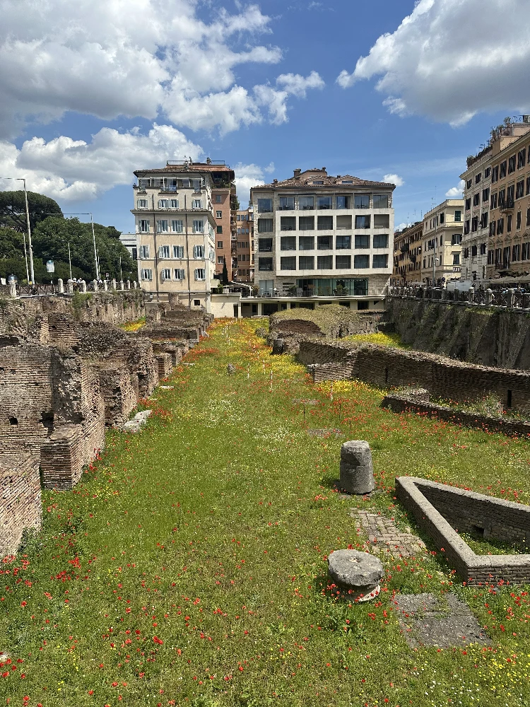 Green space near the Colosseum