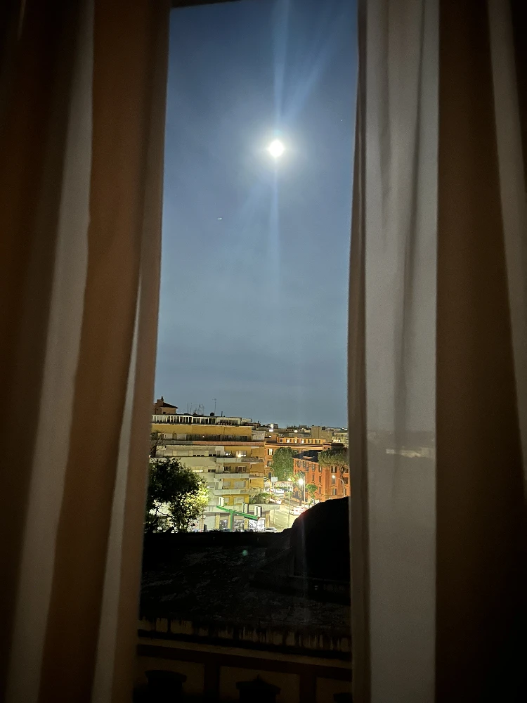 Moonlight