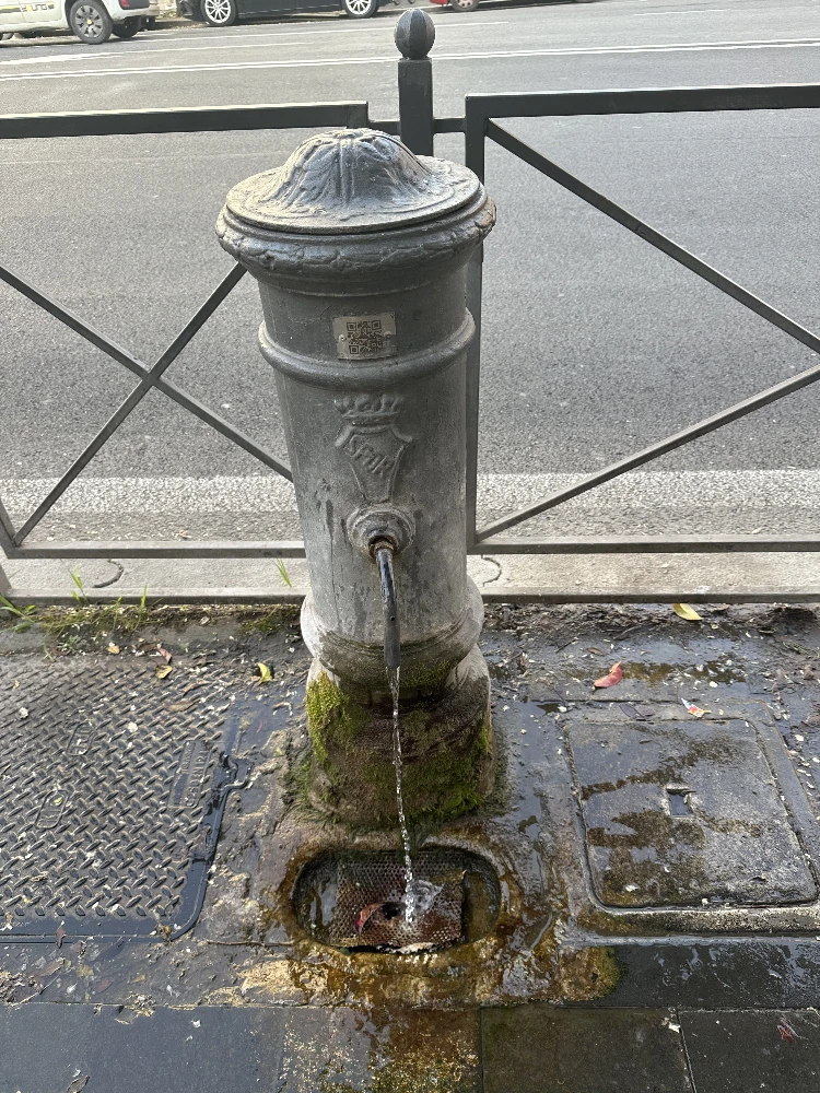 Nasone