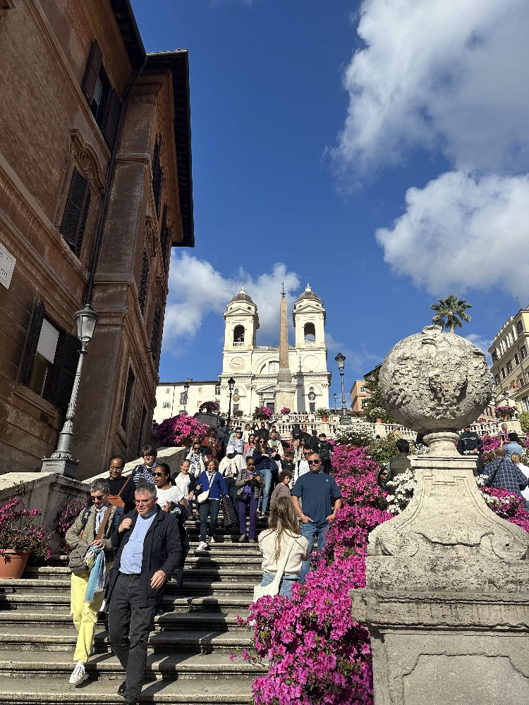 Spanish Steps azaleas