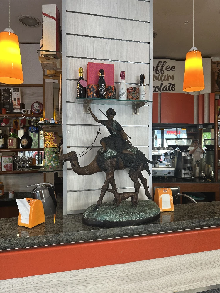 The Camel Rider