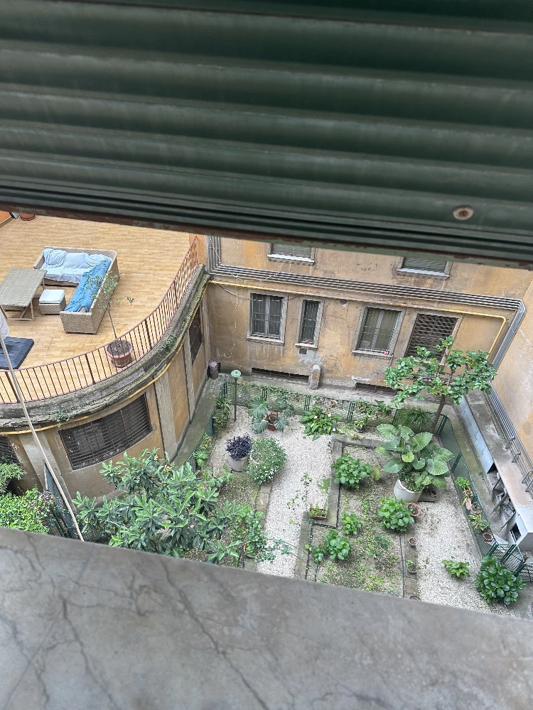 View of the garden